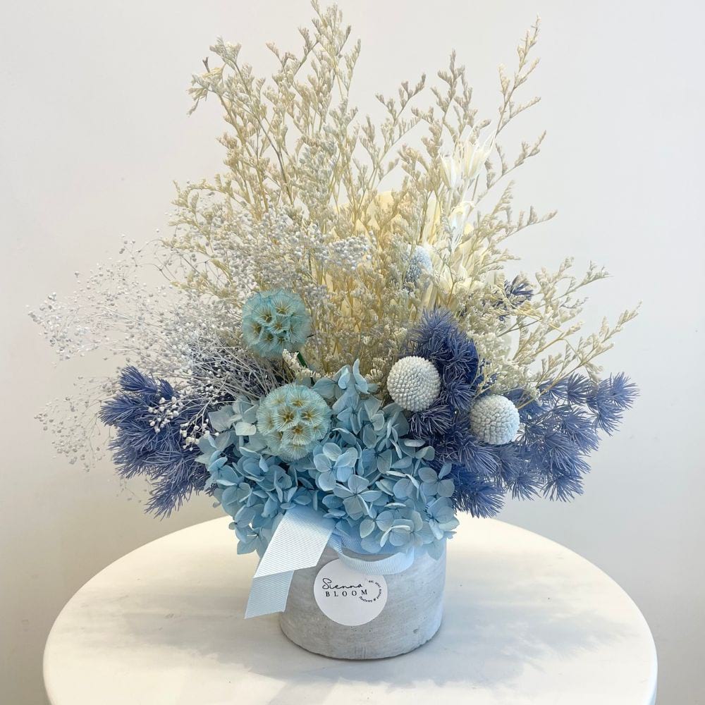 Dreamy Blues