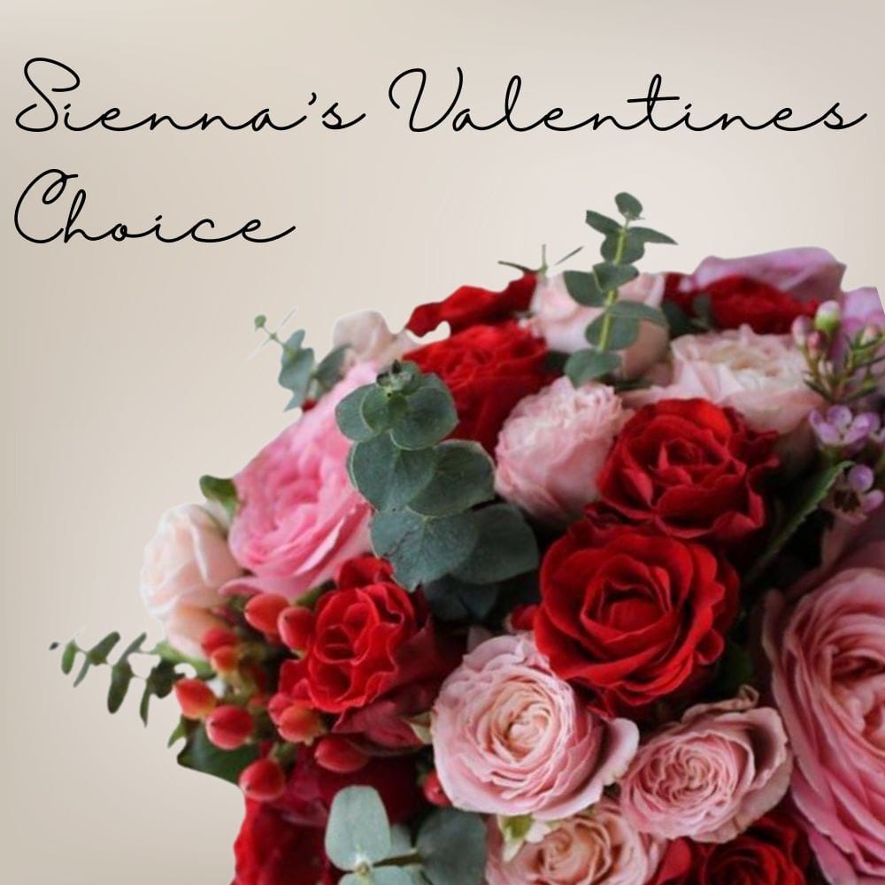 Sienna`s Valentine under $100